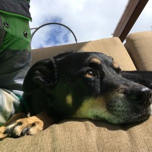 Meet your Posher, Becca